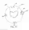 Fig. 06 - Illumination apparatus for a drink holder