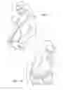 Fig. 05 - Fashion illumination system