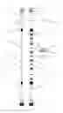 Fig. 03 - Waterproof flexible and rigid LED lighting systems and devices
