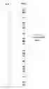 Fig. 04 - Waterproof flexible and rigid LED lighting systems and devices