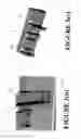 Fig. 09 - Rail and clip mounting for LED modules for fluorescent application replacement