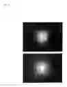 Fig. 03 - Light emitting diode based lamp