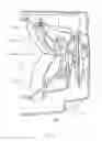 Fig. 05 - Rear lamp for vehicle