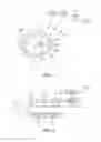 Fig. 02 - Electronic timepiece