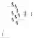 Fig. 35 - Mobility in a distributed antenna system