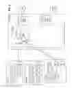 Fig. 04 - Digital surveillance