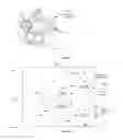 Fig. 03 - Method to transmit multiple data-streams of varying capacity data using virtual concatenation