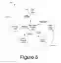 Fig. 07 - Digital upgrade system and method