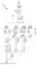 Fig. 25 - Variable length correlator