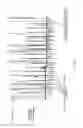 Fig. 10 - Digital signatures
