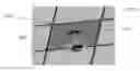 Fig. 01 - Ceiling loudspeaker system
