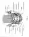 Fig. 06 - METHOD OF ASSESSING PEOPLE'S SELF-PRESENTATION AND ACTIONS TO EVALUATE PERSONALITY TYPE, BEHAVIORAL TENDENCIES, CREDIBILITY, MOTIVATIONS AND OTHER INSIGHTS THROUGH FACIAL MUSCLE ACTIVITY AND EXPRESSIONS