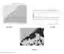 Fig. 10 - Advanced digital pathology and provisions for remote diagnostics
