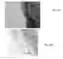 Fig. 18 - Advanced digital pathology and provisions for remote diagnostics