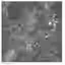 Fig. 01 - Method for performing automatic classification of image information