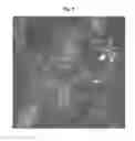 Fig. 02 - Method for performing automatic classification of image information