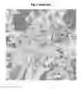 Fig. 03 - Method for performing automatic classification of image information
