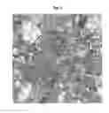 Fig. 04 - Method for performing automatic classification of image information