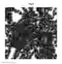 Fig. 05 - Method for performing automatic classification of image information