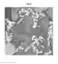Fig. 06 - Method for performing automatic classification of image information