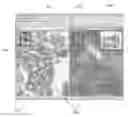 Fig. 01 - Viewing digital slides
