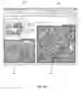 Fig. 15 - Viewing digital slides