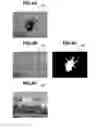 Fig. 05 - Image processing apparatus, method and recording medium