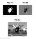 Fig. 10 - Image processing apparatus, method and recording medium