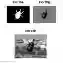 Fig. 11 - Image processing apparatus, method and recording medium
