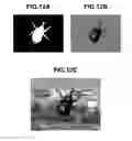 Fig. 13 - Image processing apparatus, method and recording medium