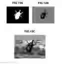 Fig. 14 - Image processing apparatus, method and recording medium