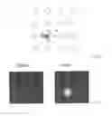Fig. 04 - Photonic crystal sensor