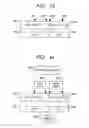 Fig. 21 - Recording apparatus/method/medium and reproduction apparatus/method