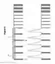 Fig. 05 - Method and apparatus for providing a copy-protected video signal