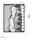 Fig. 04 - Non-linear rewind of video programs