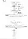 Fig. 04 - Method for data transmission in an optical transport network
