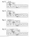 Fig. 06 - Method for data transmission in an optical transport network