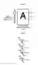 Fig. 10 - IMAGE FORMING APPARATUS AND IMAGE FORMING METHOD