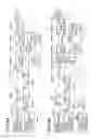 Fig. 05 - Image forming apparatus that performs image formation using different types of driving forces in combination