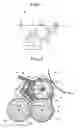 Fig. 02 - Developing device and image forming device