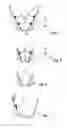 Fig. 04 - MACHINE TOOL AND METHOD FOR PRODUCING GEARING