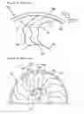 Fig. 06 - AXIAL FLOW FAN