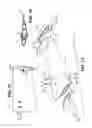 Fig. 09 - FLARED TIP FAN BLADE AND METHOD OF MANUFACTURING SAME