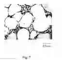 Fig. 08 - Process for production of semisolidified slurry of iron-base alloy and process for production of cast iron castings by using a semisolidified slurry