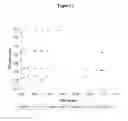 Fig. 02 - Azeotrope-like composition of PFand HF