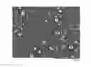 Fig. 01 - BONE TISSUE REGENERATION WITH CALCIFIED SUBSTANCE PRODUCED BY CULTURED CELLS