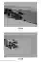 Fig. 07 - BONE TISSUE REGENERATION WITH CALCIFIED SUBSTANCE PRODUCED BY CULTURED CELLS