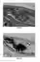 Fig. 11 - BONE TISSUE REGENERATION WITH CALCIFIED SUBSTANCE PRODUCED BY CULTURED CELLS