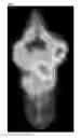 Fig. 06 - Monoclonal antibody, and use thereof