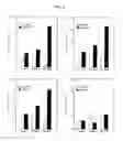 Fig. 05 - COMPOSITIONS AND METHODS OF USE OF TARGETING PEPTIDES FOR DIAGNOSIS AND THERAPY OF HUMAN CANCER